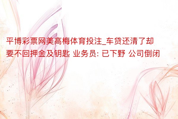 平博彩票网美高梅体育投注_车贷还清了却要不回押金及钥匙 业务员: 已下野 公司倒闭