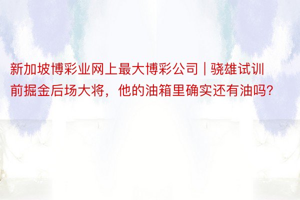 新加坡博彩业网上最大博彩公司 | 骁雄试训前掘金后场大将，他的油箱里确实还有油吗？