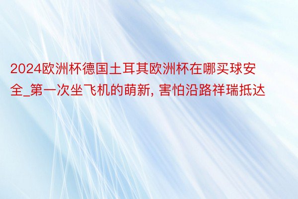 2024欧洲杯德国土耳其欧洲杯在哪买球安全_第一次坐飞机的萌新, 害怕沿路祥瑞抵达