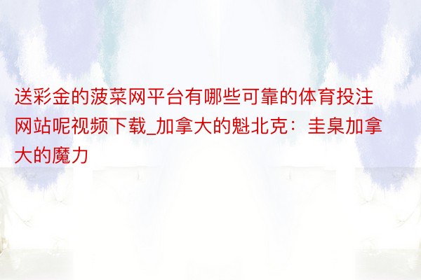 送彩金的菠菜网平台有哪些可靠的体育投注网站呢视频下载_加拿大的魁北克：圭臬加拿大的魔力