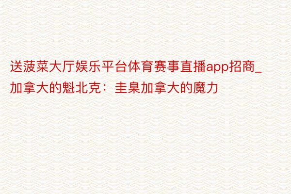 送菠菜大厅娱乐平台体育赛事直播app招商_加拿大的魁北克：圭臬加拿大的魔力